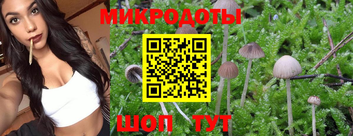 Дедовск  где продают наркотики  Вход с VPN  Галлюциногенные грибы ЛСД 